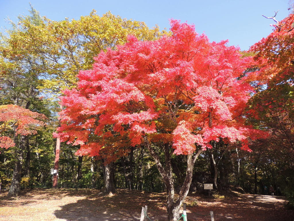 B&B Hotel Hyochoan Karuizawa Εξωτερικό φωτογραφία